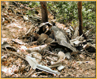Site Wreckage