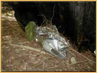 Engine Cowling