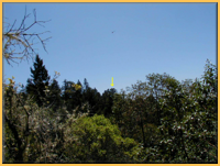 Possible point of impact